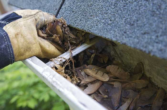 gutter cleaning san antonio