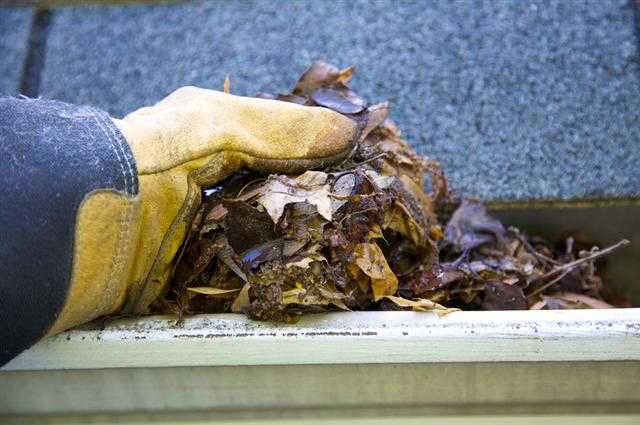 gutter-cleaning-tips