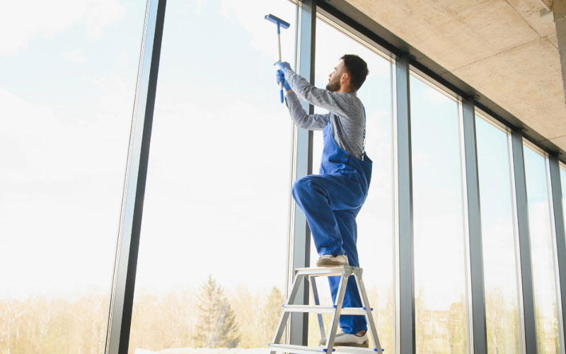Window cleaning with a ladder
