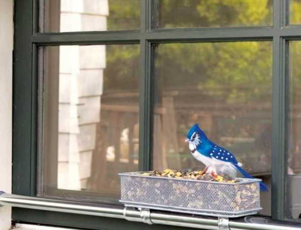 Windows bird. Кормушка для птиц на подоконник. Кормушка для птиц за окном. Птичка на подоконнике. Кормушка для голубей на подоконник.