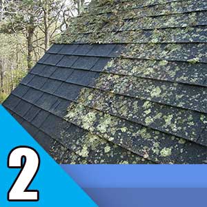 Roof cleaning removing algae